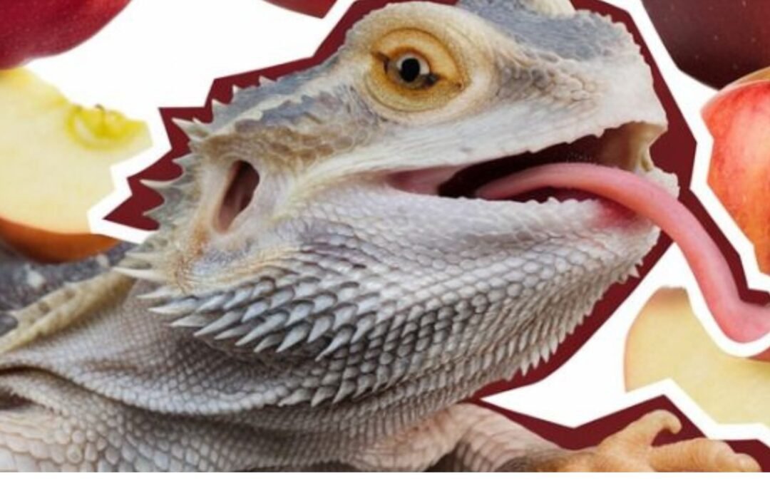 Can bearded dragons eat apples