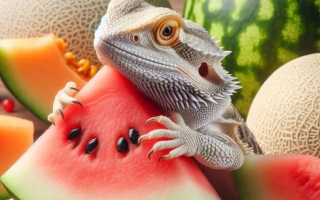 Can bearded dragons eat watermelon