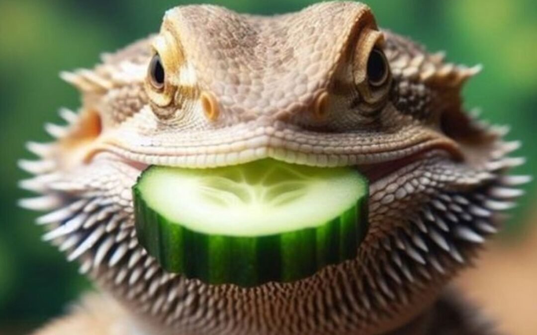 Can bearded dragons eat Cucumbers